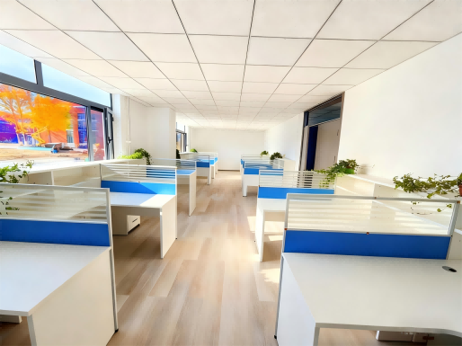 办公室图片 压缩.png